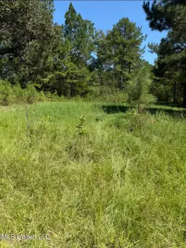 Kosciusko, MS Wooded Land