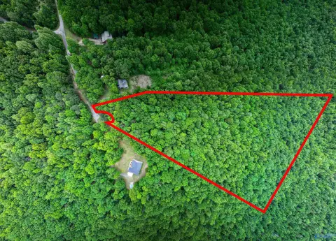 Unrestricted Wooded Acres with Views