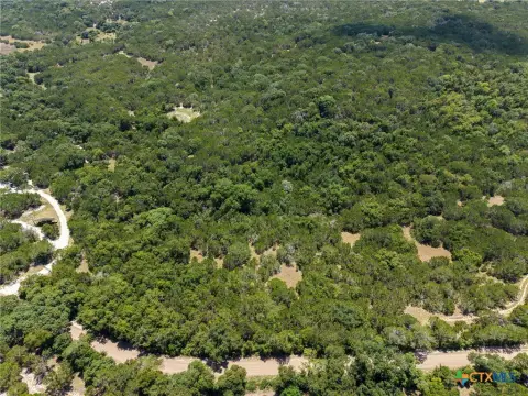 Wooded Hunting Land