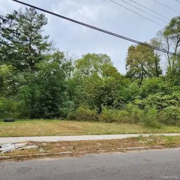 Vacant Land in Detroit