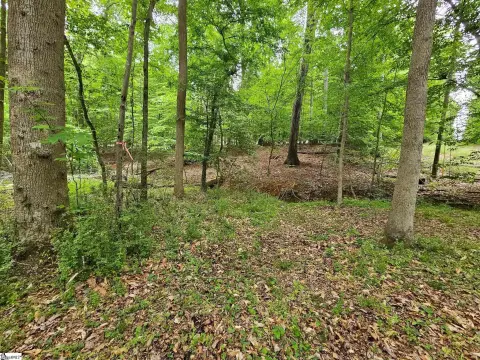 Residential Lot Near Fountain Inn