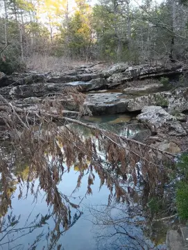 Mountain Hunting Land