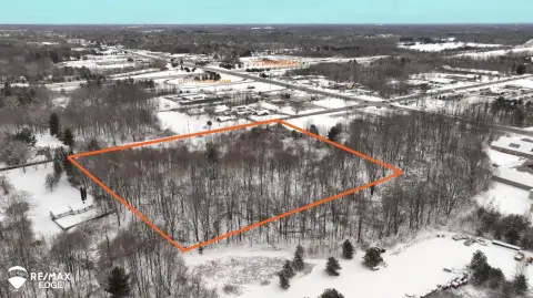 9.64 Acres in Clio Business District