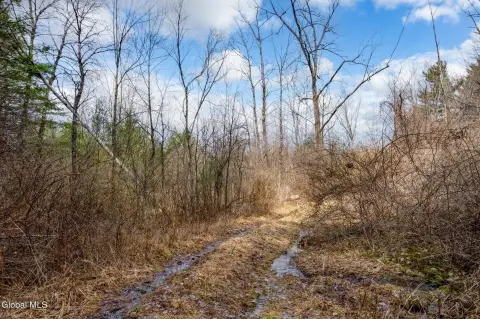 East Nassau Land Opportunity