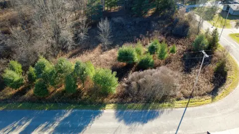 Residential Land in Big Rapids