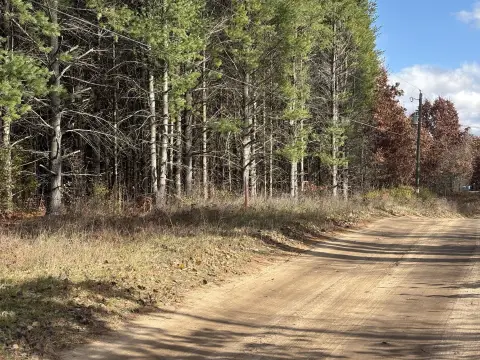 Newaygo Buildable Wooded Lot