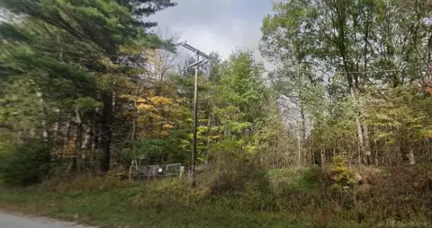 67 Acres with Pine River Frontage