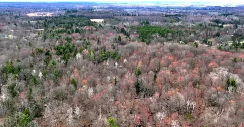 Waterfront Recreation Land Parcel
