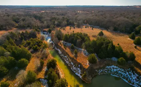 Timbered Hunting and Homesite Land