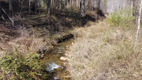 Waterfront Land with Creek Frontage
