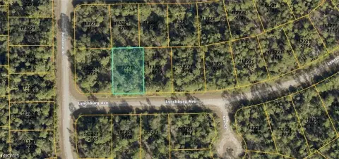 Commercial Land Lot With No Restrictions