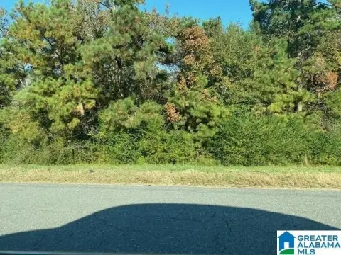 Prime Corner Lot on Highway