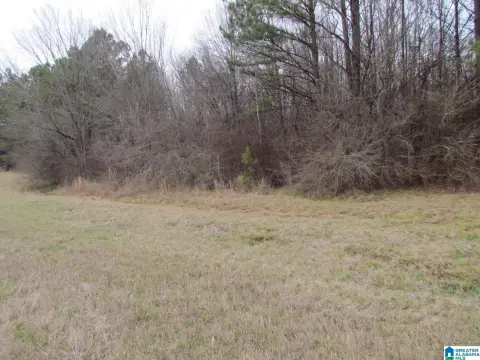 Harpersville Land with Highway Frontage