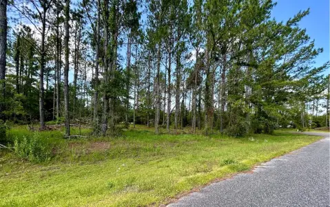 Live Oak Residential Lot