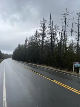 Versatile Land Parcel on Route 1