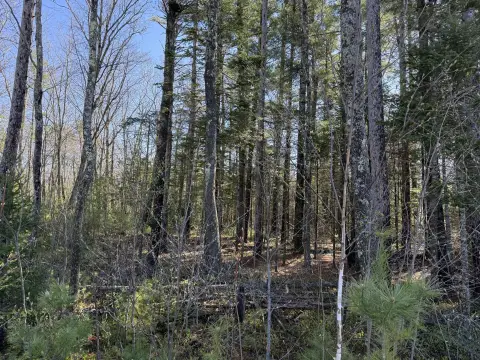 One Acre Building Lot