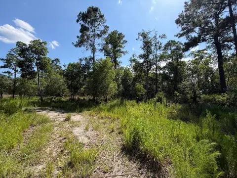 Partially Cleared Acreage Homesite