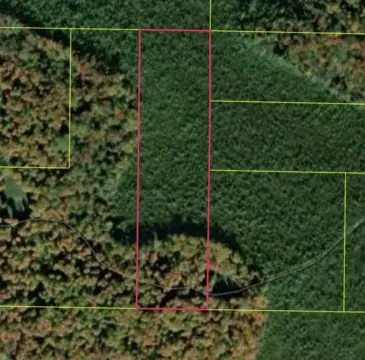 Kalkaska 10-Acre Hunting Cabin Retreat