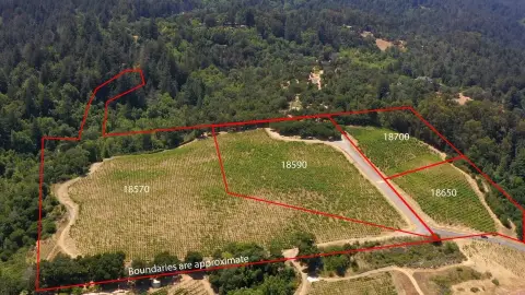 Los Gatos Vineyard Estate Homesite