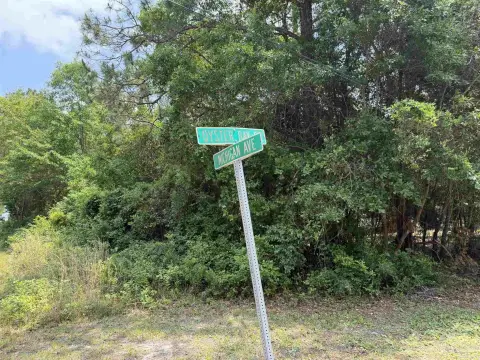 Land in Bagdad, Florida