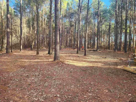 Two Acre Wooded Homesite Lot