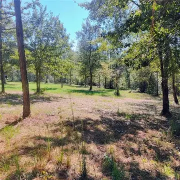 Partially Wooded Recreational Acreage