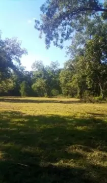 Residential Land in Ashford, AL