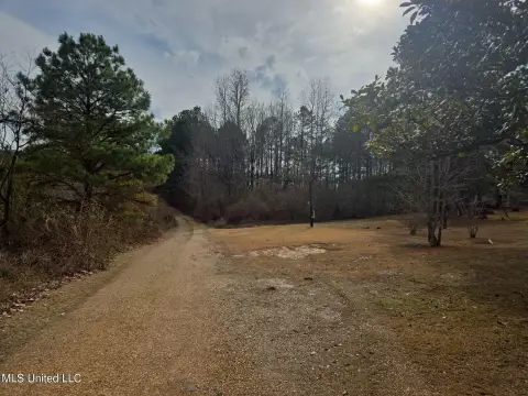 Vacant Land in Louisville, MS