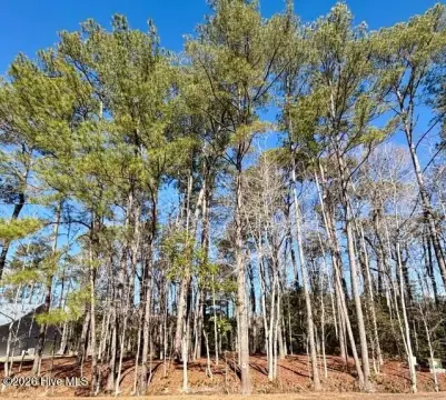 Residential Lot in Carolina Shores
