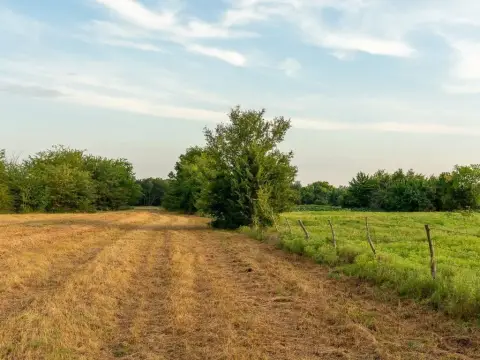 Hunting Land with Internal Road System