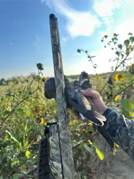 Recreational Hunting Land Tract