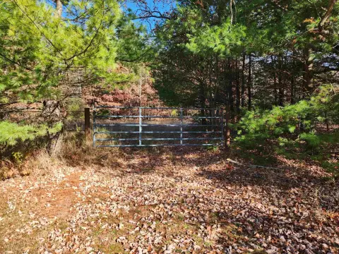 92 Acres Wooded Land