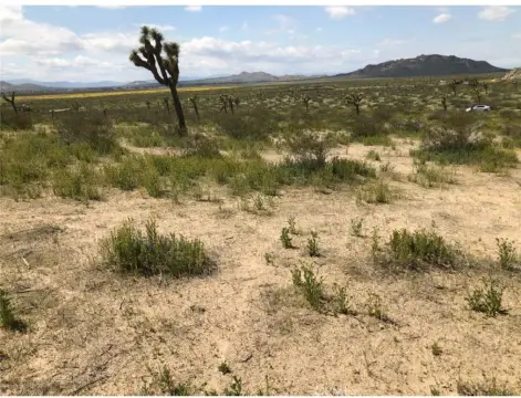 Lancaster Land For Sale