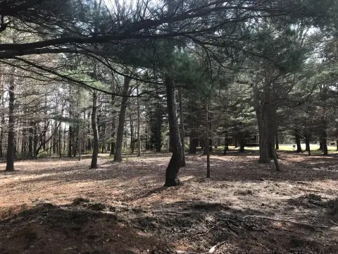 South Haven Land Near Lake
