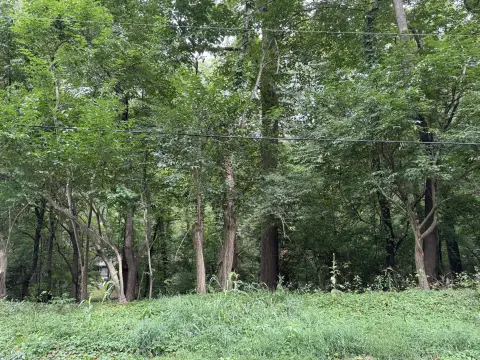 Land Near Michiana Beaches