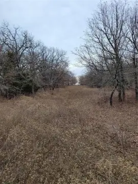 Wooded Agricultural Land