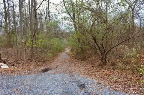 Southern Lehigh 7.47-Acre Lot