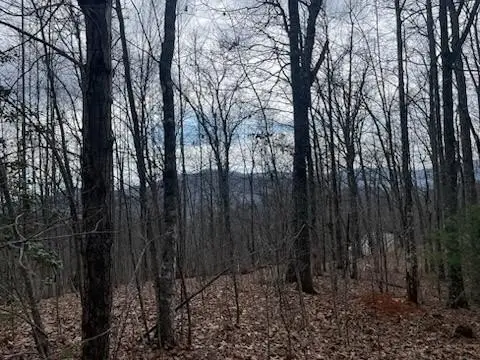 Mountain Property in Gated Community