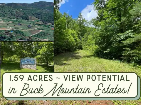 Wooded Lot in Buck Mountain Estates