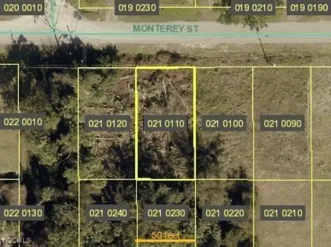 Cleared Land in North Fort Myers