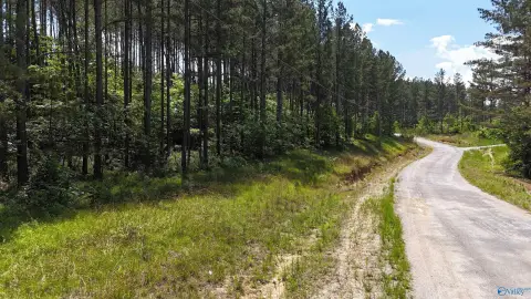 Land in Piedmont, Alabama