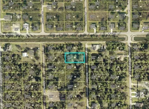 Lehigh Acres Half-Acre Lot