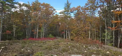 South Berwick Wooded Land Parcel