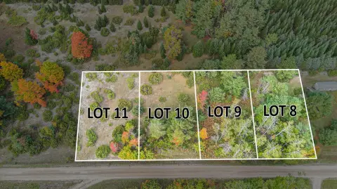 Vacant Lots in Cheboygan, MI