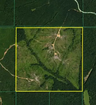 Hunting and Recreation Land Tract