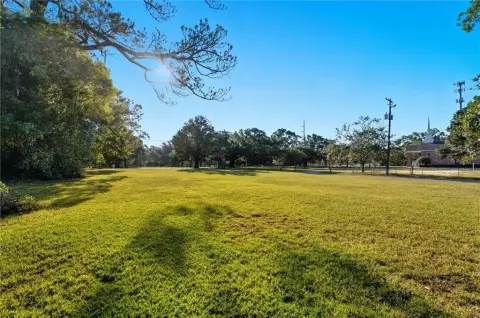 Land on Dauphin Island Parkway