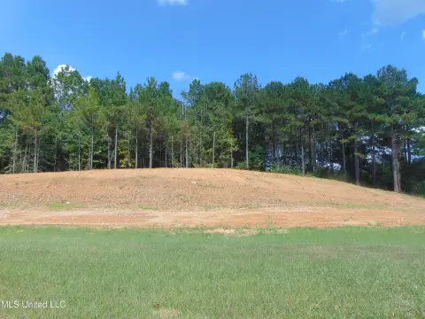 Versatile Land in Wesson, MS