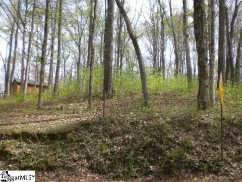 Residential Lot in Easley, SC