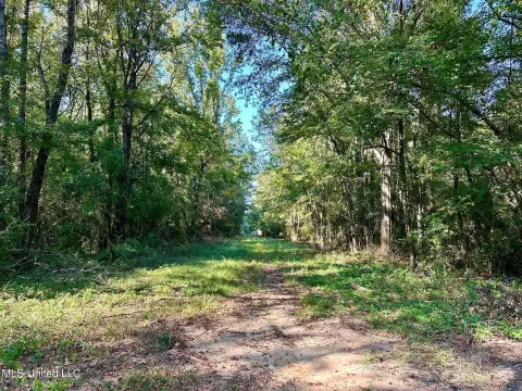Brookhaven Land Near Bogue Chitto