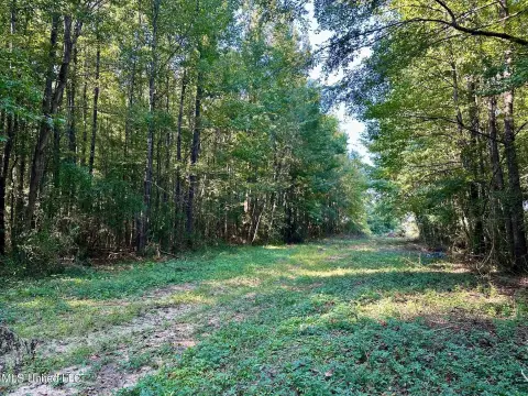 Hardwood Recreation Land